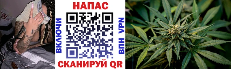 ОМГ ОМГ ТОР Новозыбков Бошки Шишки White Widow